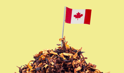 Ilustrasi untuk Strategi Pengendalian Tembakau ala Kanada